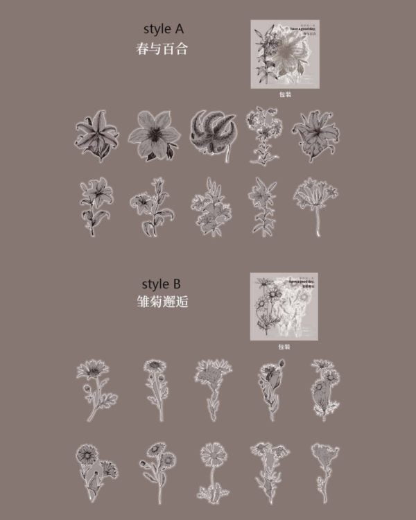 استیکر نیمه شفاف با حاشیه نقره کوب - Image 8