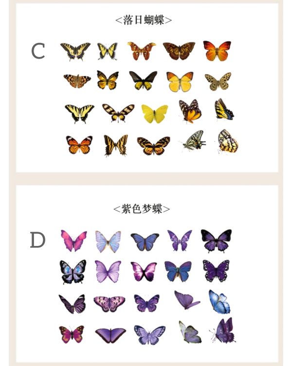 استیکر پروانه سایز کوچک - Image 5