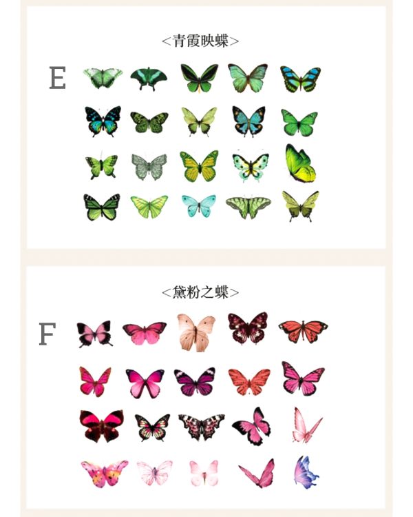 استیکر پروانه سایز کوچک - Image 6