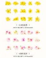 استیکر گل PET  هولوگرامی - Image 7