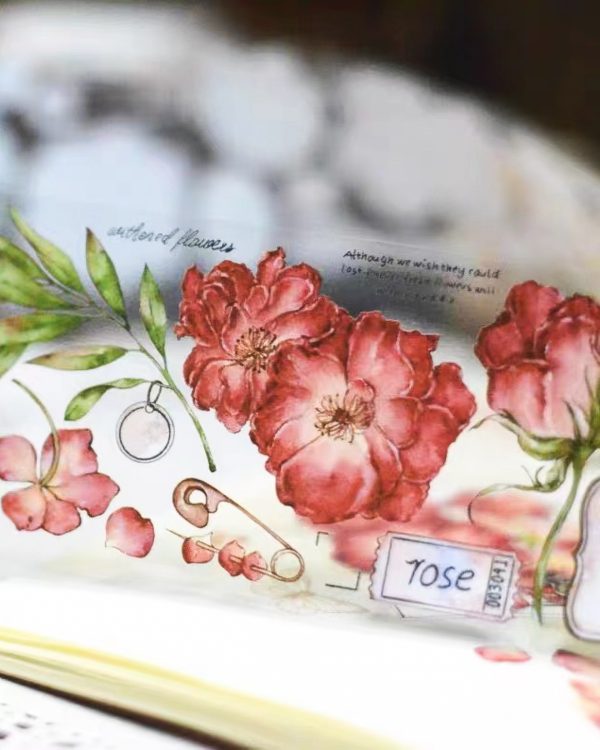 واشی کد ۵۳ - Image 2