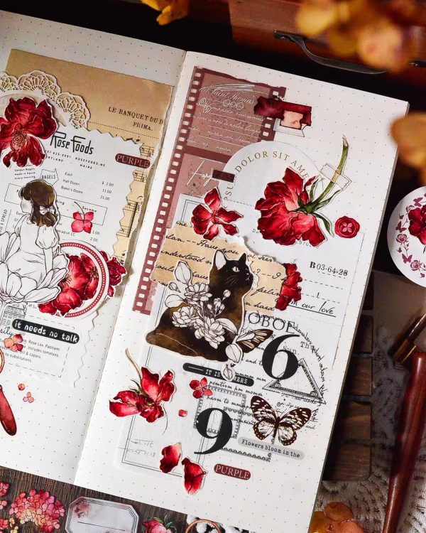 واشی کد ۵۳ - Image 8