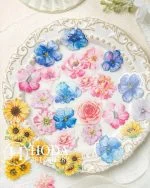 استیکر شفاف Blooming Flowers