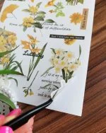 استیکر واشی برش خورده - تصویر 6