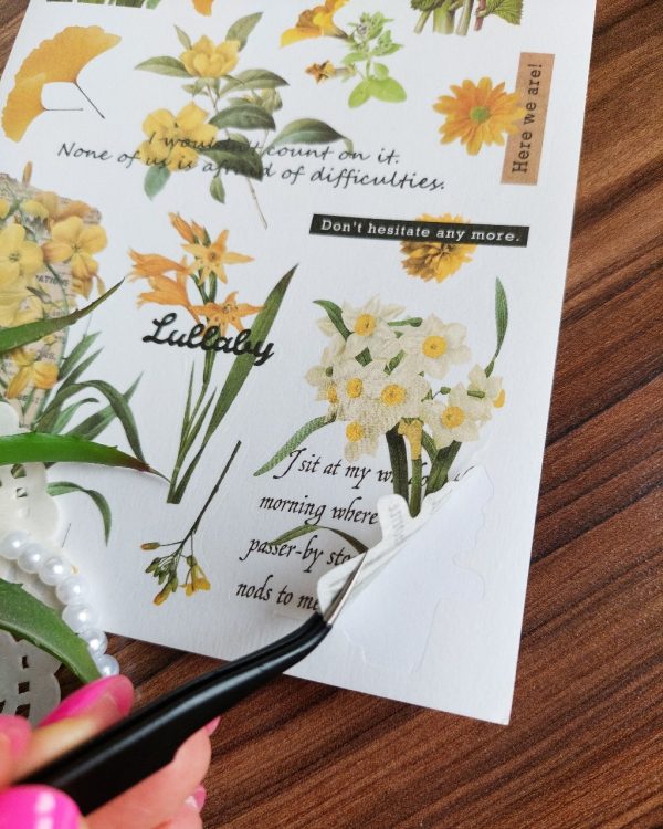 استیکر واشی برش خورده - Image 6