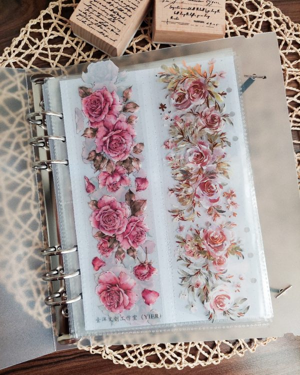 کلاسور طلقی مات وارداتی - Image 8