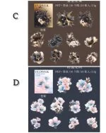 استیکر گل طلاکوب Translucen flowers - تصویر 12