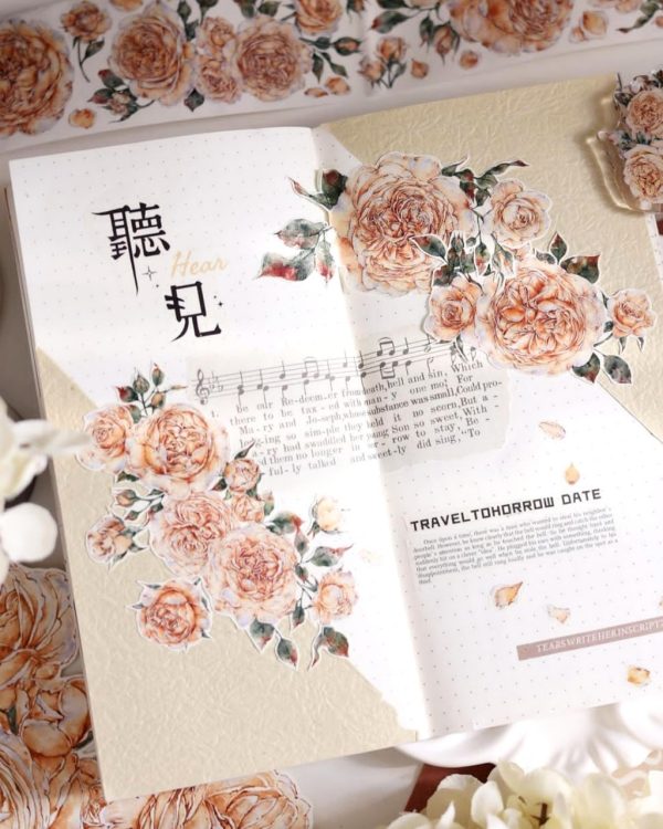 چسب واشی کد ۱۷ - Image 8