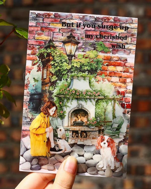 واشی Stone wall path - Image 3