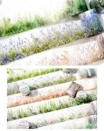 واشی Green Notes - تصویر 4