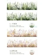 واشی Green Notes - تصویر 7