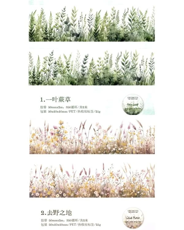 واشی Green Notes - تصویر 7