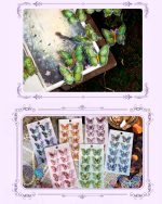 استیکر ۳بعدی پروانه - Image 8