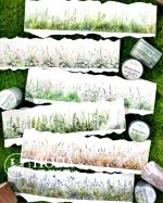 واشی Green Notes