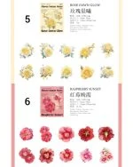 استیکر Flower Nature Letters - تصویر 14