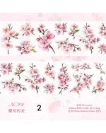 واشی برش خورده limited Sakura season - تصویر 10