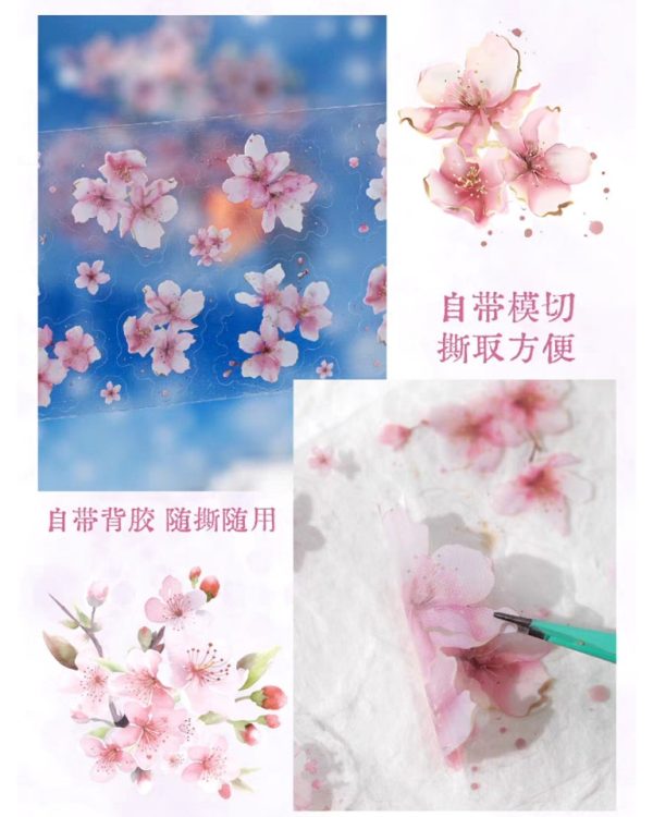 واشی برش خورده limited Sakura season - Image 7