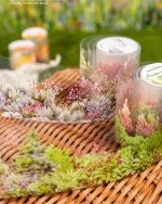 چسب واشی Bushes and flowers - تصویر 2
