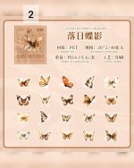 استیکر جعبه ای پروانه Colorful Tweedledum - Image 11