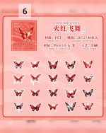 استیکر جعبه ای پروانه Colorful Tweedledum - Image 15