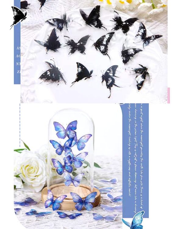 استیکر جعبه ای پروانه Colorful Tweedledum - Image 5