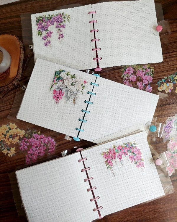 کلاسور شفاف مربعی با کاغذ - Image 2