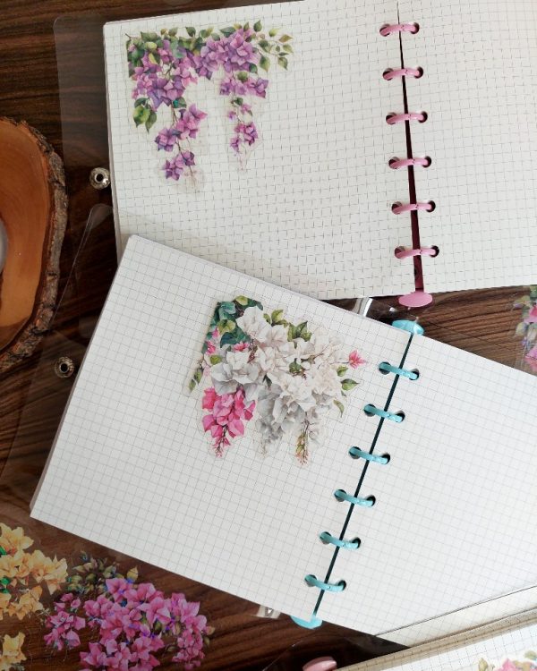 کلاسور شفاف مربعی با کاغذ - Image 6