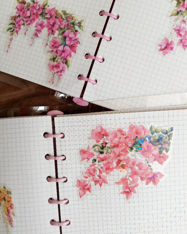 کلاسور شفاف مربعی با کاغذ - Image 5