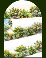 چسب واشی Mountain and wild flowers - Image 9