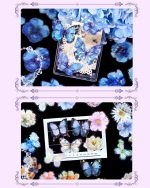 استیکر صدفی Brilliant blue stars - Image 5