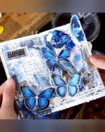 استیکر پروانه نقره کوب Boundless dream butterfly - تصویر 3
