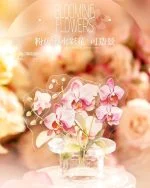 استیکر Feast of Blooming Flowers - تصویر 12