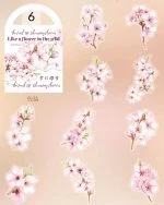 استیکر Feast of Blooming Flowers - تصویر 18