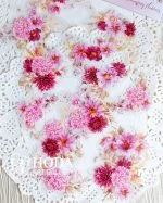 استیکر Feast of Blooming Flowers