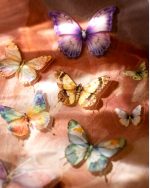 پک ۵۰ عددی استیکر پروانه Butterfly dance - Image 5