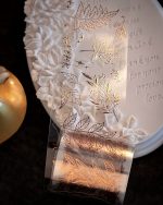 چسب واشی برنزی sea of stars - Image 3