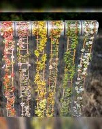 چسب واشی Flower Ladder - تصویر 3