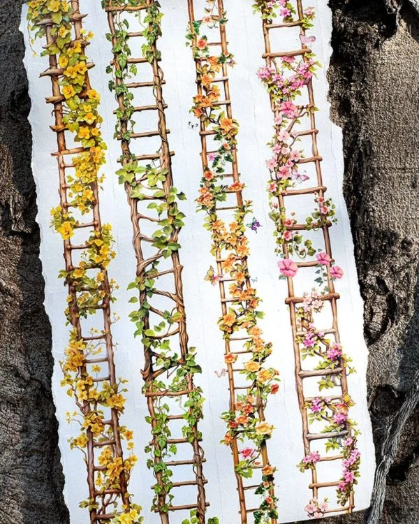 چسب واشی Flower Ladder - تصویر 4