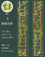 چسب واشی Flower Ladder - Image 16