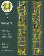 چسب واشی Flower Ladder - تصویر 16