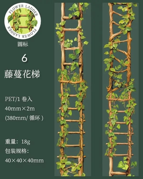 چسب واشی Flower Ladder - تصویر 16