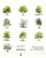 استیکر درخت The scenery of the four seasons - تصویر 13