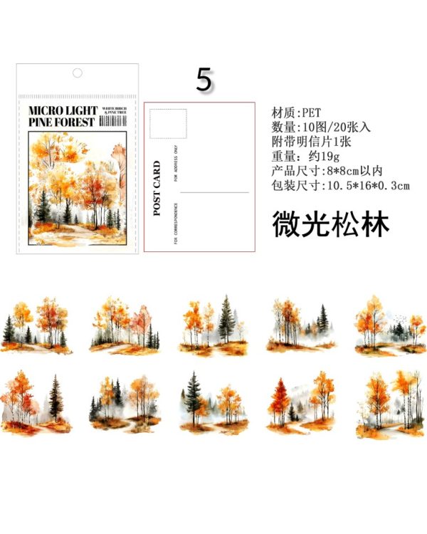 استیکر Betula platyphylla and pine - Image 17