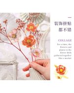 استیکر طلاکوب Gilt Flower Dawn - Image 10