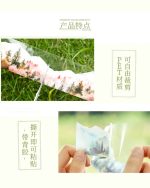 چسب واشی Mountain and forest - Image 6