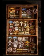 استیکر mushroom specimen collection - تصویر 3