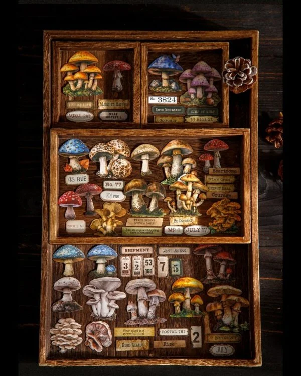 استیکر mushroom specimen collection - تصویر 3