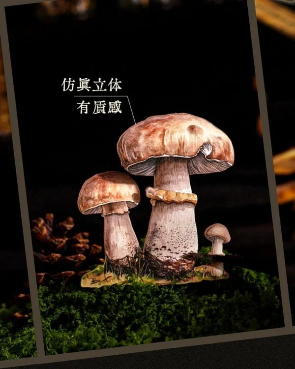 استیکر mushroom specimen collection - تصویر 4
