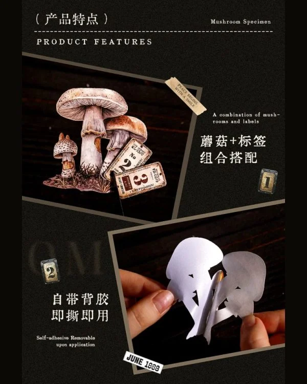 استیکر mushroom specimen collection - تصویر 6